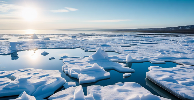 How has climate change affected polar ice caps and sea levels