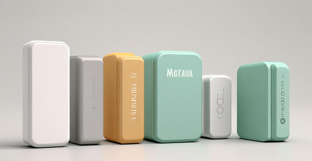 What is the difference between a power bank and a portable charger